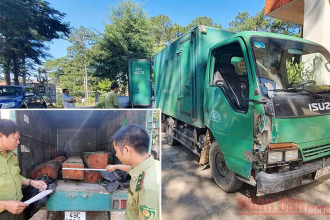 Ô tô cùng tang vật gỗ lậu tại cơ quan kiểm lâm.