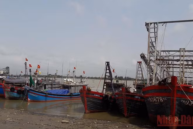 Tàu cá cập cảng Hới, thành phố Sầm Sơn–Thanh Hóa. (Ảnh: Mai Luận)
