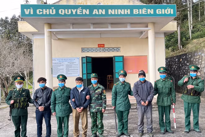 Các đội tượng bị lực lượng Bộ đội biên phòng bắt giữ.