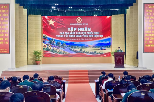 Quang cảnh tập huấn. (Ảnh: Ban tổ chức)