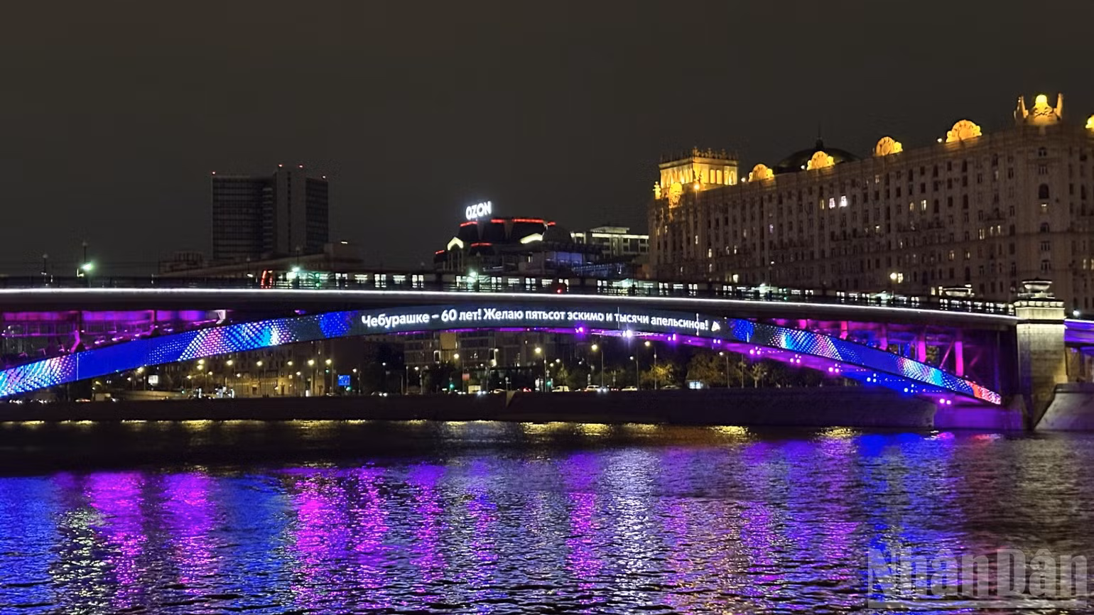 ndo_br_img-5598.jpg
