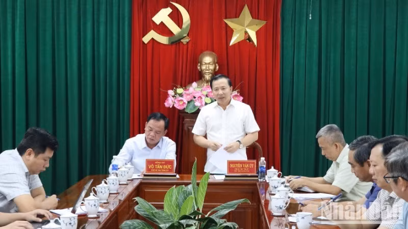 ndo-br-3-resize-1866-8071-8451.jpg