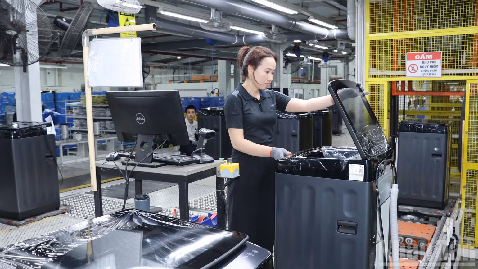 ndo_br_img-0271-resize.jpg
