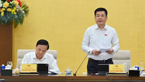 Phó Chủ tịch Quốc hội Nguyễn Hồng Diên phát biểu tại phiên họp. (Ảnh: THỦY NGUYÊN)