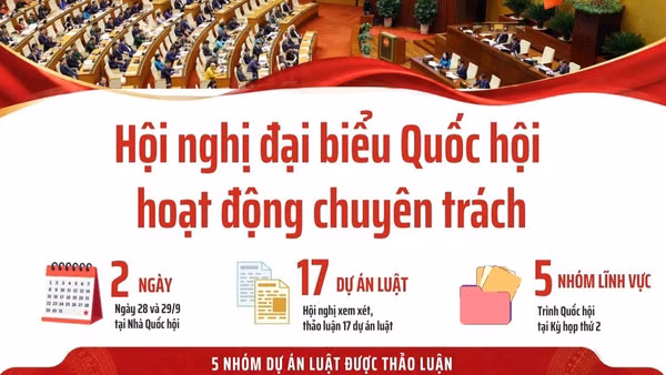 [Infographic] Hội nghị đại biểu Quốc hội hoạt động chuyên trách thứ nhất, nhiệm kỳ khóa XVI