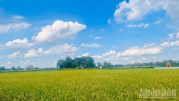 Đất đai là nguồn lực quan trọng trong phát triển kinh tế đất nước. (Ảnh: H. NGUYÊN)
