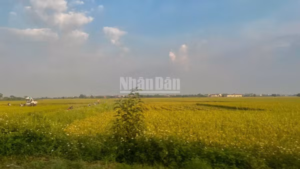 Nhiều chính sách đất đai được dần tháo gỡ vướng mắc. (Ảnh: HN)
