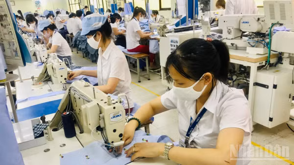 Tăng trưởng xanh, chuyển đổi số - Động lực mới cho doanh nghiệp. (Ảnh: Kim Dung)