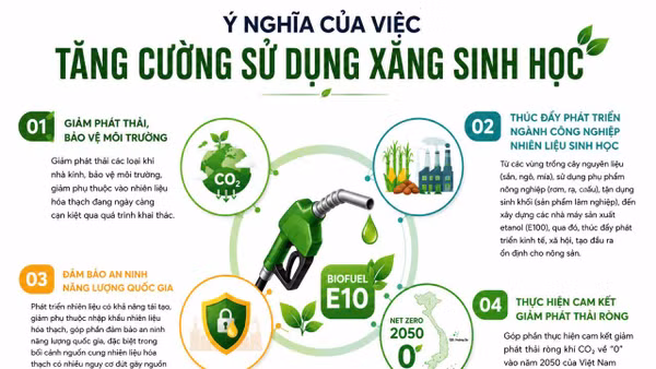 Áp dụng xăng sinh học E10 trên phạm vi toàn quốc.