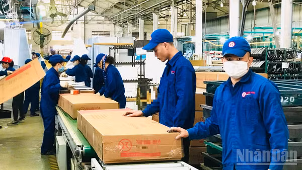 Logistics mạnh khi dòng hàng hóa được kết nối. (Ảnh: KIM DUNG)