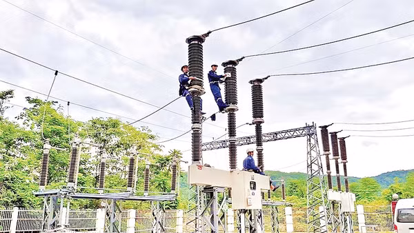 Dự án điện sinh khối giúp Cần Thơ hướng đến tăng trưởng xanh, bền vững. Ảnh: VNPD