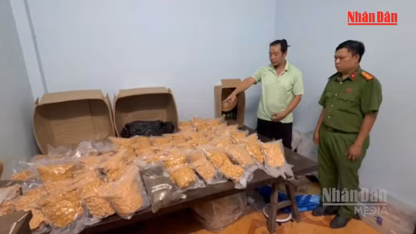  [Video] Công an TP Hồ Chí Minh triệt phá đường dây ma túy liên tỉnh cực lớn, bắt 151 đối tượng