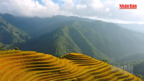 [Video] Việt Nam vào top 10 quốc gia được yêu thích nhất thế giới năm 2026