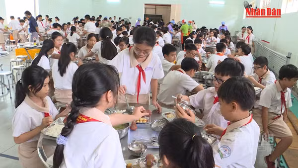 [Video] Đồng loạt kiểm tra bếp ăn trường học tại Thành phố Hồ Chí Minh trong tháng 10 và 11 