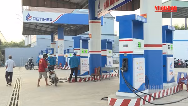 [Video] Chuyển Công an điều tra vụ Petimex bán 185 triệu lít xăng dầu trị giá 2.841 tỉ không có chứng từ