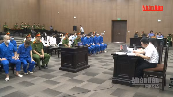 [Video] Nhiều bị hại kể về việc phải bán nhà trả nợ khi bị đường dây Mr Pips lôi kéo