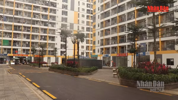 [Video] Đà Nẵng đề xuất hỗ trợ mua nhà ở đến 800 triệu đồng để thu hút nhân tài
