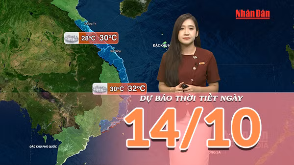 [Video] Dự báo thời tiết ngày 14/10/2026: Bắc Bộ có nắng, Trung Bộ mưa giảm, Nam Bộ chiều tối có dông 