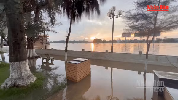 [Video] Cần Thơ cảnh báo triều cường vượt báo động III, nhiều nơi nguy cơ ngập sâu
