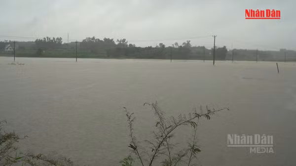 [Video] Các tỉnh, thành từ Hà Tĩnh đến Đà Nẵng chủ động ứng phó với mưa lớn, sạt lở đất