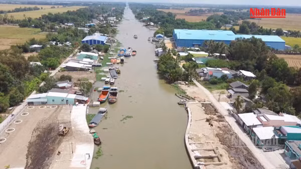 [Video] Đồng Tháp kích hoạt kịch bản ứng phó hạn mặn, dự báo khốc liệt như mùa khô 2019 - 2020