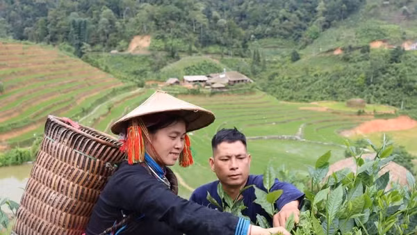 Nổi tiếng hay không thì cuộc sống của vợ chồng chị Vàng Thị Thông vẫn vậy, sáng làm nông, trưa về đón khách. Ảnh: NVCC