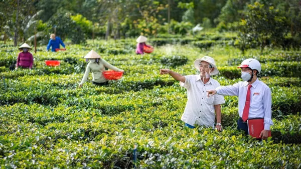 Nguồn vốn tín dụng xanh đang góp phần hỗ trợ doanh nghiệp và người dân đầu tư vào các mô hình sản xuất nông nghiệp bền vững. (Ảnh: Báo Nhân Dân)
