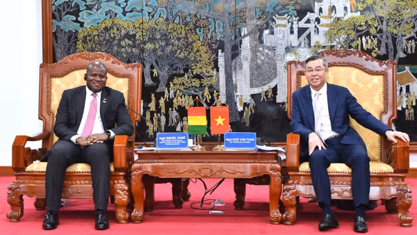 Bộ trưởng Tài chính Ngô Văn Tuấn làm việc với Bộ trưởng Kế hoạch, Hợp tác quốc tế và Phát triển Cộng hòa Ghi-nê Ismaël NaBé. (Ảnh: Bộ Tài chính)