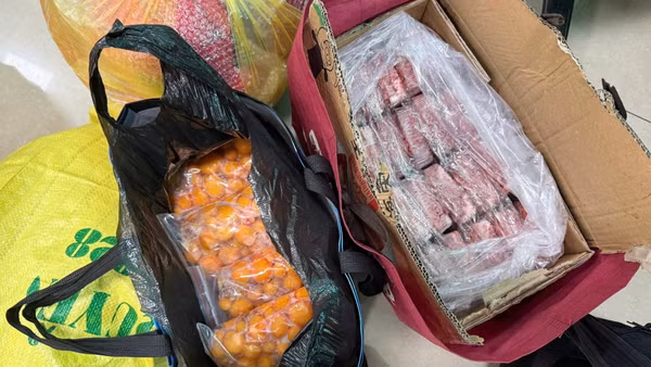 Lô hàng 389kg thực phẩm đông lạnh không rõ nguồn gốc, không có hóa đơn, chứng từ hợp pháp bị lực lượng hải quan thu giữ tại khu vực cửa khẩu quốc tế Lào Cai. (Ảnh: CHQ)