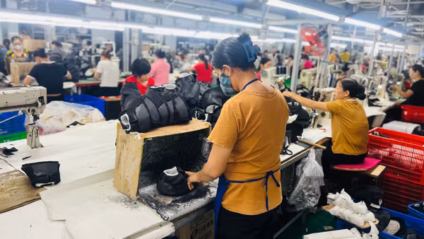 Khung đánh giá mới giúp doanh nghiệp định vị năng lực và xây dựng lộ trình chuyển đổi phù hợp. (Ảnh MINH PHƯƠNG) 