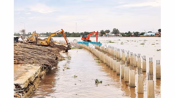 Nhà thầu đang thi công kè chống sạt lở bờ sông Cổ Chiên tại phường Long Châu, tỉnh Vĩnh Long. 