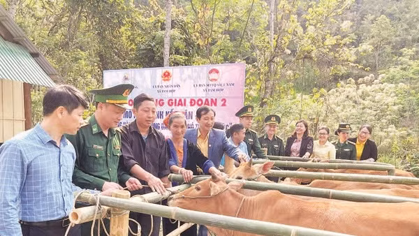 Đồn Biên phòng Tam Hợp và chính quyền địa phương phối hợp trao bò giống tặng các hộ nghèo trên địa bàn.
