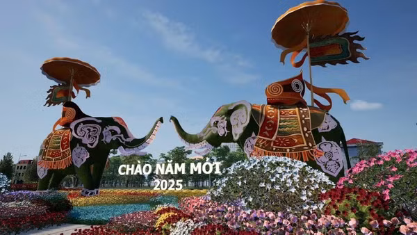 Hình ảnh một lễ hội hoa, cây cảnh tại xã Mê Linh (Hà Nội). 