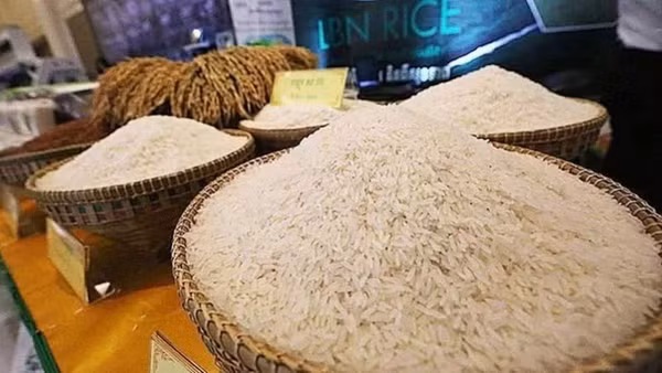Campuchia có nhiều giống gạo ngon, được thị trường quốc tế ưa chuộng. (Ảnh: Khmer Times)