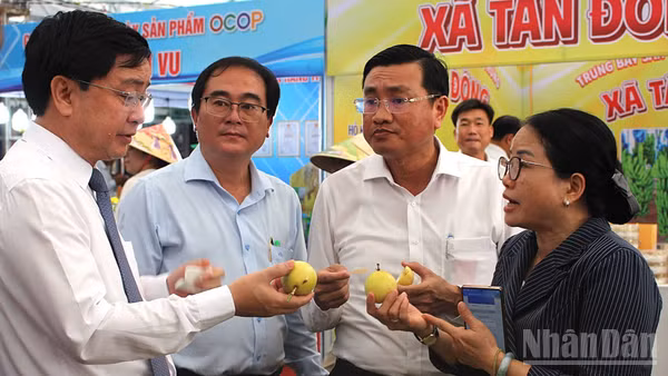 Ủy viên Trung ương Đảng, Bí thư Tỉnh ủy Tây Ninh Nguyễn Văn Quyết (bìa trái) trao đổi với sở, ngành trong việc sản xuất hàng nông sản tạo ra giá trị gia tăng. (Ảnh: THANH PHONG)