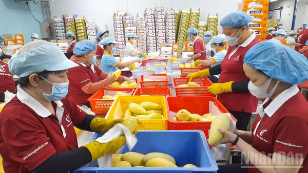 Kinh tế tư nhân là động lực quan trọng của Tây Ninh trong việc hiện thực mục tiêu tăng trưởng hai con số. (Ảnh: THANH PHONG)