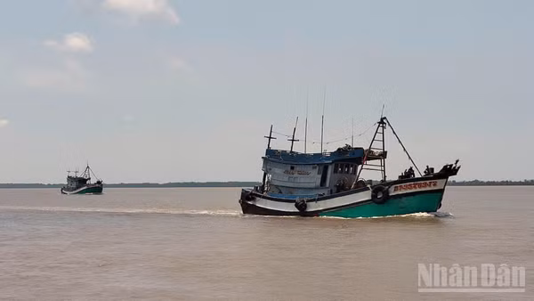 Tây Ninh đặt mục tiêu đến trước ngày 10/9/2026 xác định rõ tình trạng và biện pháp quản lý đối với toàn bộ 82 tàu chưa đủ điều kiện hoạt động.