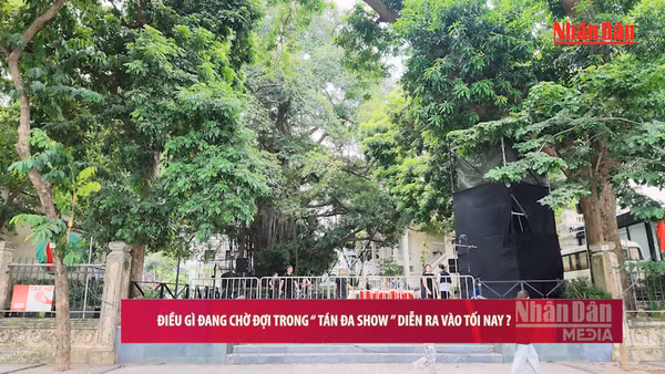 [Video] Điều gì đang chờ đợi trong "Tán Đa show" vào tối nay?