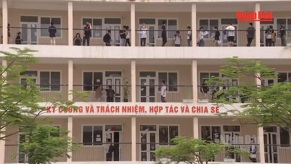 [Video] Đại học rà soát ngành đào tạo, chuẩn bị tuyển sinh năm 2027