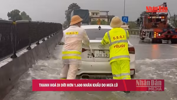 [Video] Thanh Hóa di dời hơn 1.600 nhân khẩu do mưa lũ