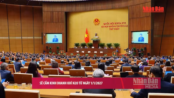 [Video] Sẽ cấm kinh doanh khí N2O từ 1/1/2027