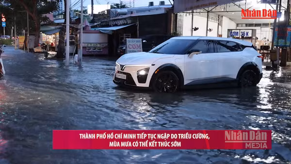 [Video] Thành phố Hồ Chí Minh tiếp tục ngập do triều cường, mùa mưa có thể kết thúc sớm