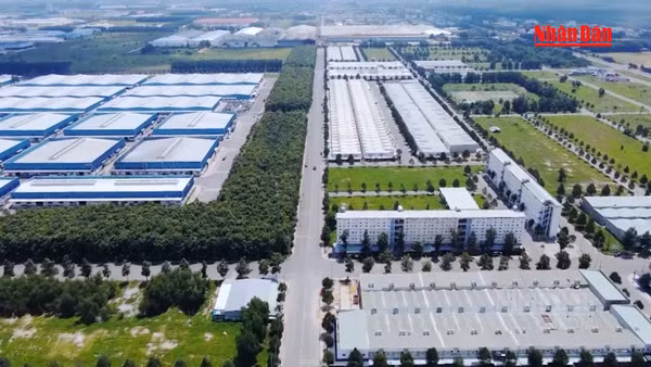 [Video] Doanh nghiệp không kê khai chủ sở hữu hưởng lợi có thể bị phạt đến 100 triệu đồng