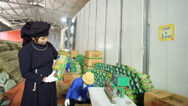 Dự án góp phần hỗ trợ và khuyến khích phụ nữ trong chuyển đổi xanh. (Ảnh: CTV)