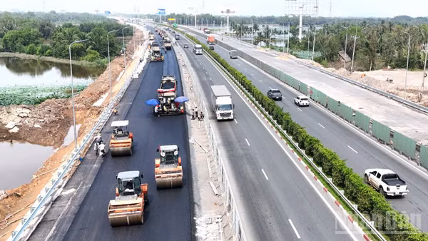 Các nhà thầu huy động hàng trăm phương tiện cơ giới thi công tổng lực mở rộng cao tốc Thành phố Hồ Chí Minh-Long Thành.