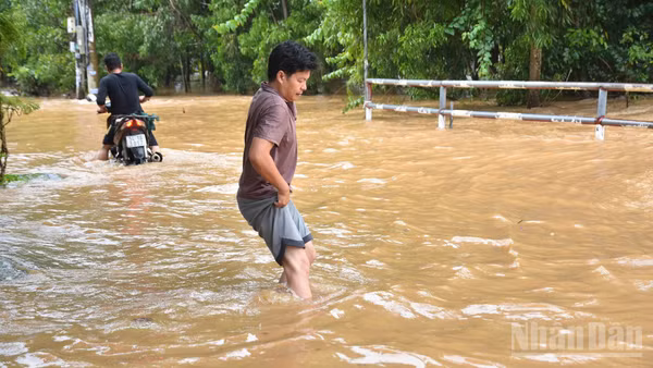 Nước sông Buông dâng cao khiến đường dân sinh ngập sâu tại khu phố Hương Phước, phường Phước Tân. (Ảnh: THIÊN VƯƠNG)