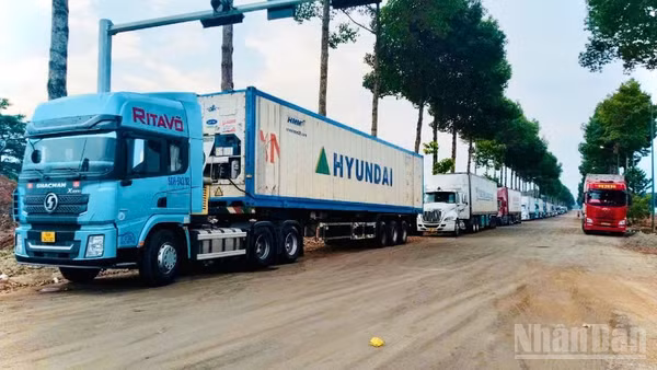 Xe container đậu tràn vào Khu trung tâm hành chính phường Dầu Giây.