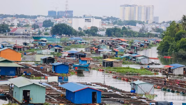 Hàng trăm hộ nuôi cá bè trên sông Đồng Nai ngay trung tâm thành phố đang gây ra nhiều hệ lụy về môi trường, ảnh hưởng đến mỹ quan đô thị.