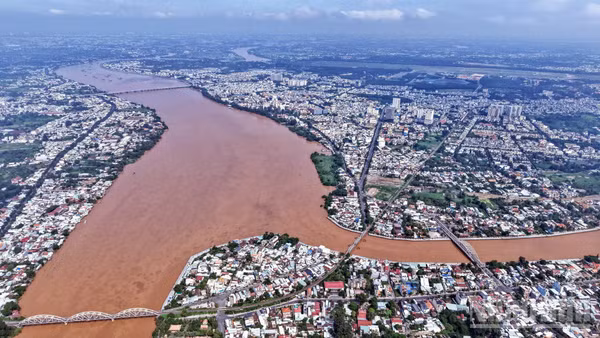 Sông Đồng Nai nhuộm màu phù sa mùa nước lũ.