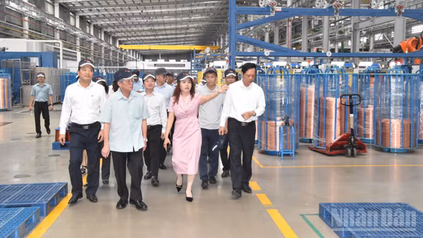 Lãnh đạo tỉnh Đồng Tháp thăm và động viên sự phát triển của doanh nghiệp. (Ảnh: NGUYỄN SỰ)